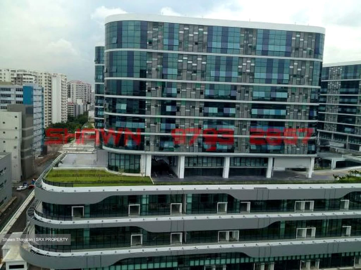 Oxley Bizhub (D14), Factory #624474461